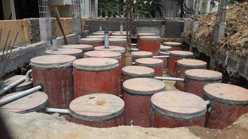 Septic tank bacteria products in india
