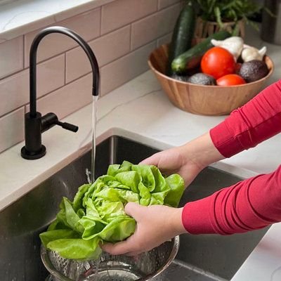 kitchen water filter system