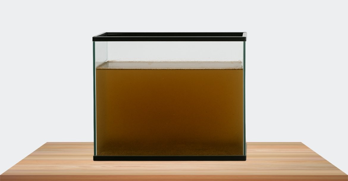 Untitled design (2)