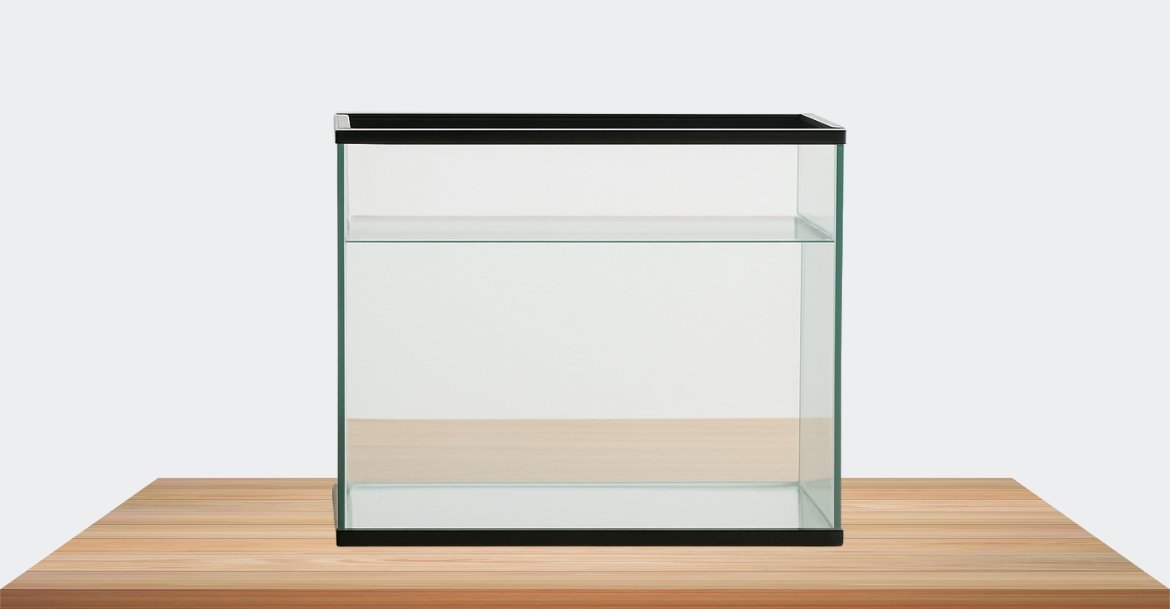 Untitled design (3)